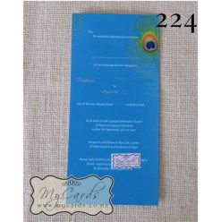 DLE Peacock Feather | Mid Blue | Design 224